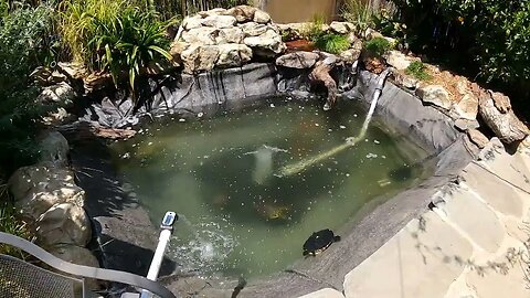 Filling pond with water timelapse