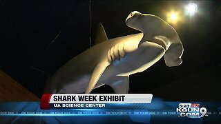 Flandrau center celebrating shark week