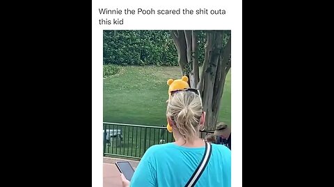 Winnie the Pooh Picaboo!