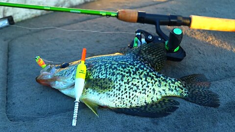 Simple Bobber and Jig Rig for Crappie in Shallow Water (Early Summer Pattern)