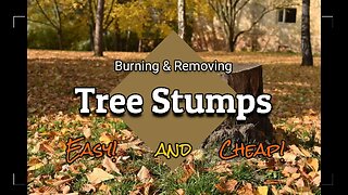 Easy And Cheap Method For Removing Tree Stumps