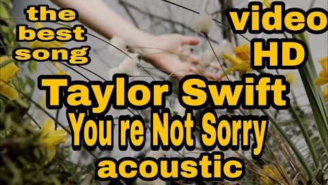 You're Not Sorry - Taylor Swift (acoustic)