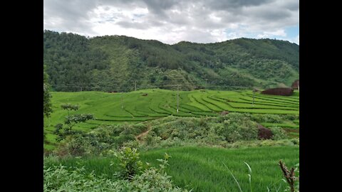 A picturesque rice terraced corner part 1.