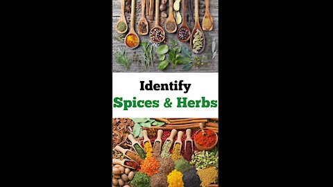 Identify Herbs and Spices