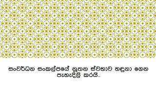 සංවර්ධණය සඳහා සන්නි‍ේදනය