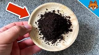 You'll NEVER throw away Coffee Grounds again after seeing THIS 💥 (8 SECRET Tricks) 🤯