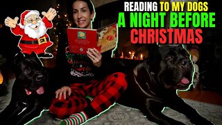 Reading The Night Before Christmas To My Dogs #family #dog #christmas #kids