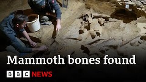 Mammoth bones discovered in wine cellar inAustria | BBC News