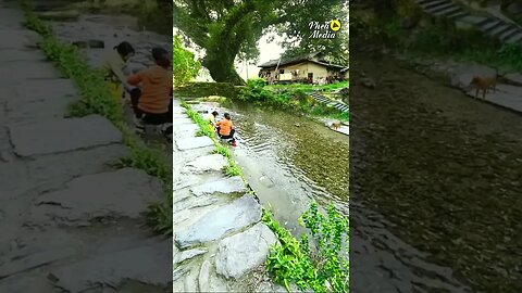 relaxing sound of the water-flow and green nature 😍