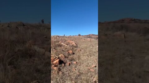 First video from controlled elk hunt 2022 Wichita mountains wildlife refuge