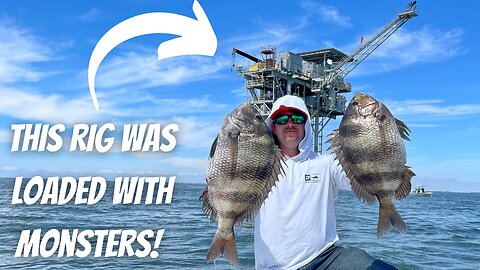 Dropping LIVE CRABS Down 50ft For GIANT SHEEPSHEAD