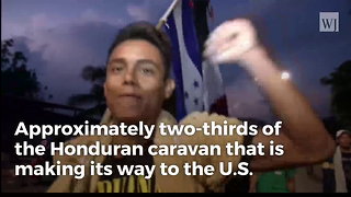 Official Says Majority of Caravan Made Up of Single, Adult Males