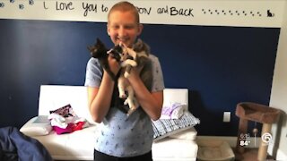 Port St. Lucie child cancer patient fosters dozens of kittens