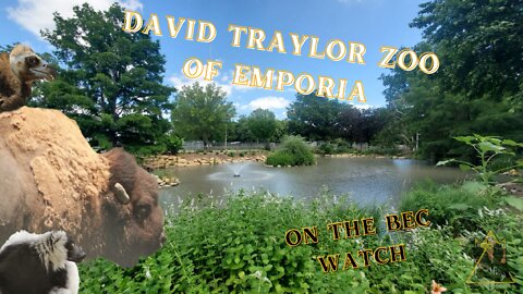 BEC Watch Entries: #18 David Traylor Zoo of Emporia