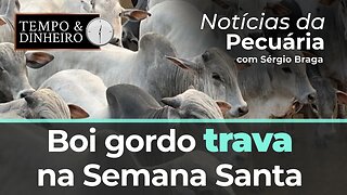 Boi gordo trava na Semana Santa com ofertas da indústria abaixo do esperado.