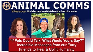 A True HORSE WHISPERER - Animal Communicator Michele Lowry, Lisa Schermerhorn on What Your Pets Say