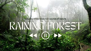 Tropical Forest Relaxing Nature Video