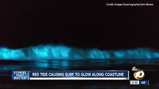 Red tide causing surf to glow along coastline