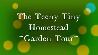 Garden Tour of the Teeny Tiny Homestead-Spring 2022