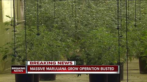 CPD shuts down marijuana operation on east side