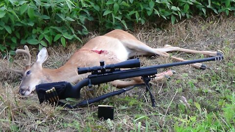 Deer Hunt 22 .338 lapua mag