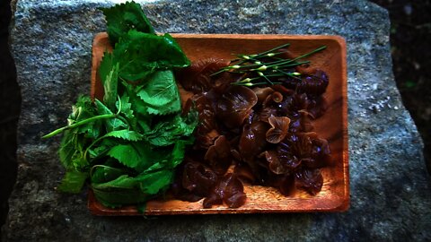 Wood Ear Mushroom Foraging, Cooking Ramen Soup Recipe with Stinging Nettle Wild edible ramen Fornite