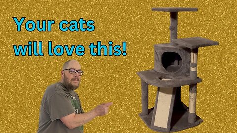 Fun for your cat(s), peace of mind for you!