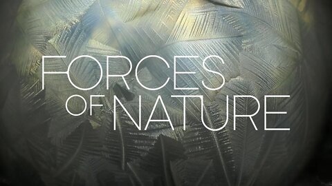 Nature Natural Forces Include The Force of Love