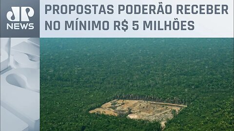 Fundo Amazônia vai financiar projetos de municípios que reduzam desmatamento