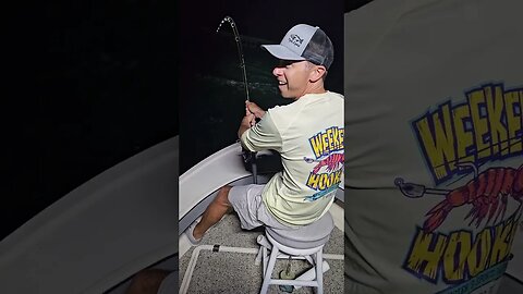 Tarpon Fishing in Florida Keys..Huge Tarpon.