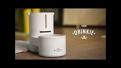Drinkie: Your pet’s favorite self-cleaning water dispenser