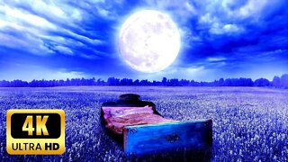 Sleep Music ♫ Relaxing Music and Meditation Music • 4K Nature Adventure