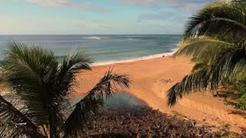 Lost in Paradise | Garden Island Kauai Hawaii Drone