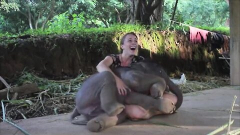 Baby Elephant Play With Girl