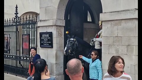 She reached out to grab the reins guard shouts dont touch the reins #horseguardsparade