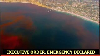 Florida Governor Issues Executive Emergency Order, Red Tide, Extreme Weather Updates, Latest