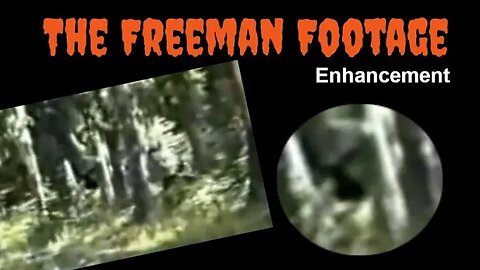 The Freeman Footage | Enhancement