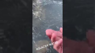 Glacier Water is cold! 🥶