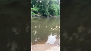 Good morning and happy Sunday. Fishing at the creek. #fishing #outdoors #nature