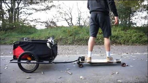 This little dog has his own personalized trailer