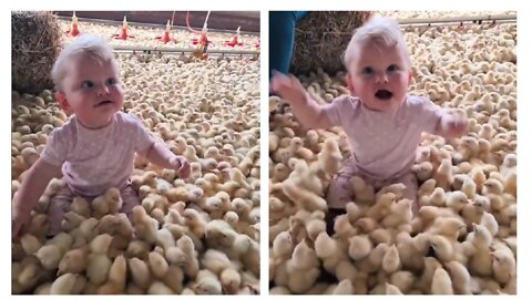 adorable baby with little chiken