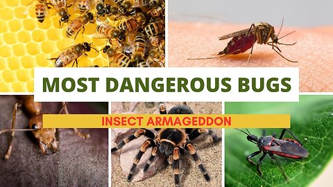 Insect Armageddon Unveiling the World's Most Dangerous Bugs
