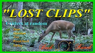 Lost clips, FOUND!