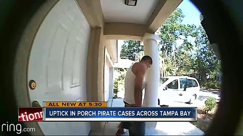 Surveillance videos may be behind increase in porch pirate cases across Tampa Bay