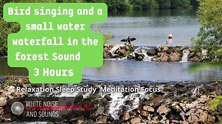 Sound Bird singing and small water waterfall in the forest | Relaxation Sleep- Study- Meditation.