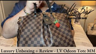 My Favorite Bag! From a Private Seller! LV Odeon Tote MM Damier Ebene print!