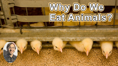 Meat Logic: Why Do We Eat Animals? - Charles Horn