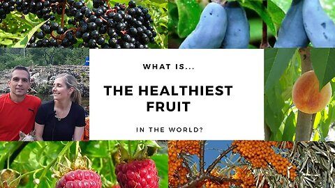 What is the healthiest fruit in the world?