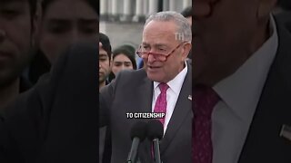 Chuck Schumer calls for TOTAL AMNESTY for all illegal immigrants