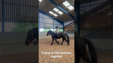 What do you think? #viral #youtubeshorts #horseriding #equestrian #shortsfeed #naturalhorsemanship